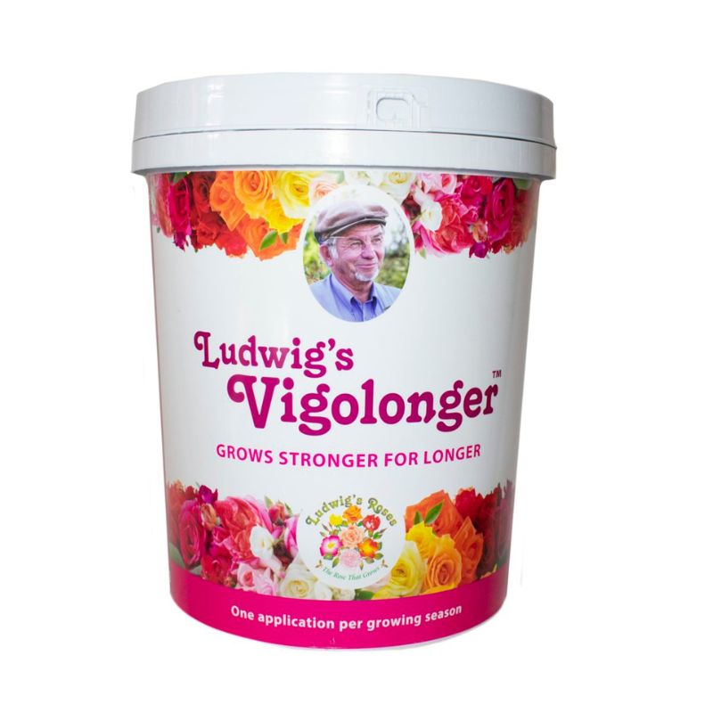 Ludwig’s Vigolonger