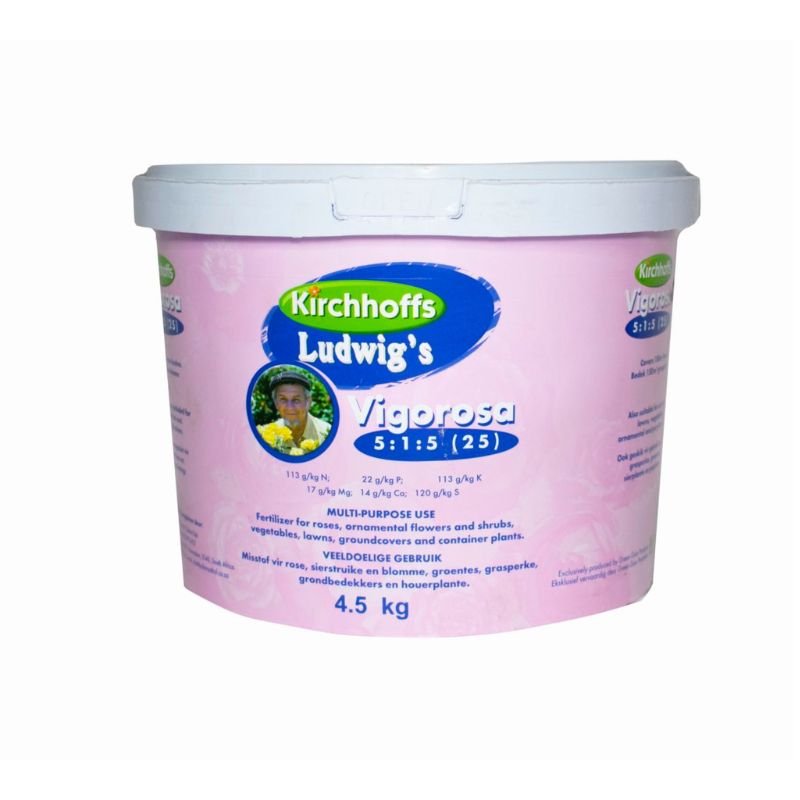 Ludwig’s Vigorosa